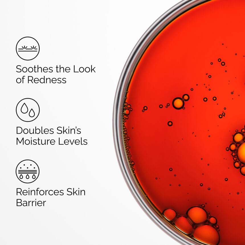 Pycnogenol 5% Antioxidant Anti-Aging Face Serum - Image 5
