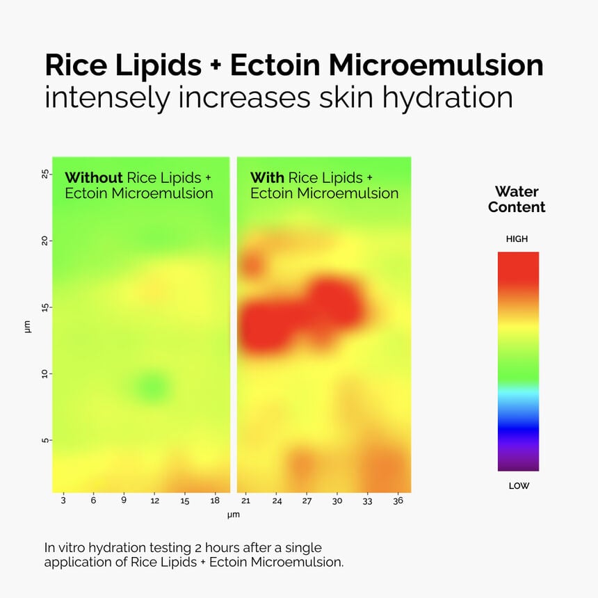 Rice Lipids + Ectoin Microemulsion Hydrating Barrier Serum - Image 2